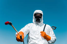 Best Organic or Eco-Friendly Pest Control  in Ovid, MI